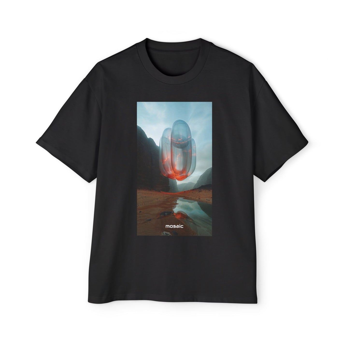 Blowups Heavy Oversized Tee