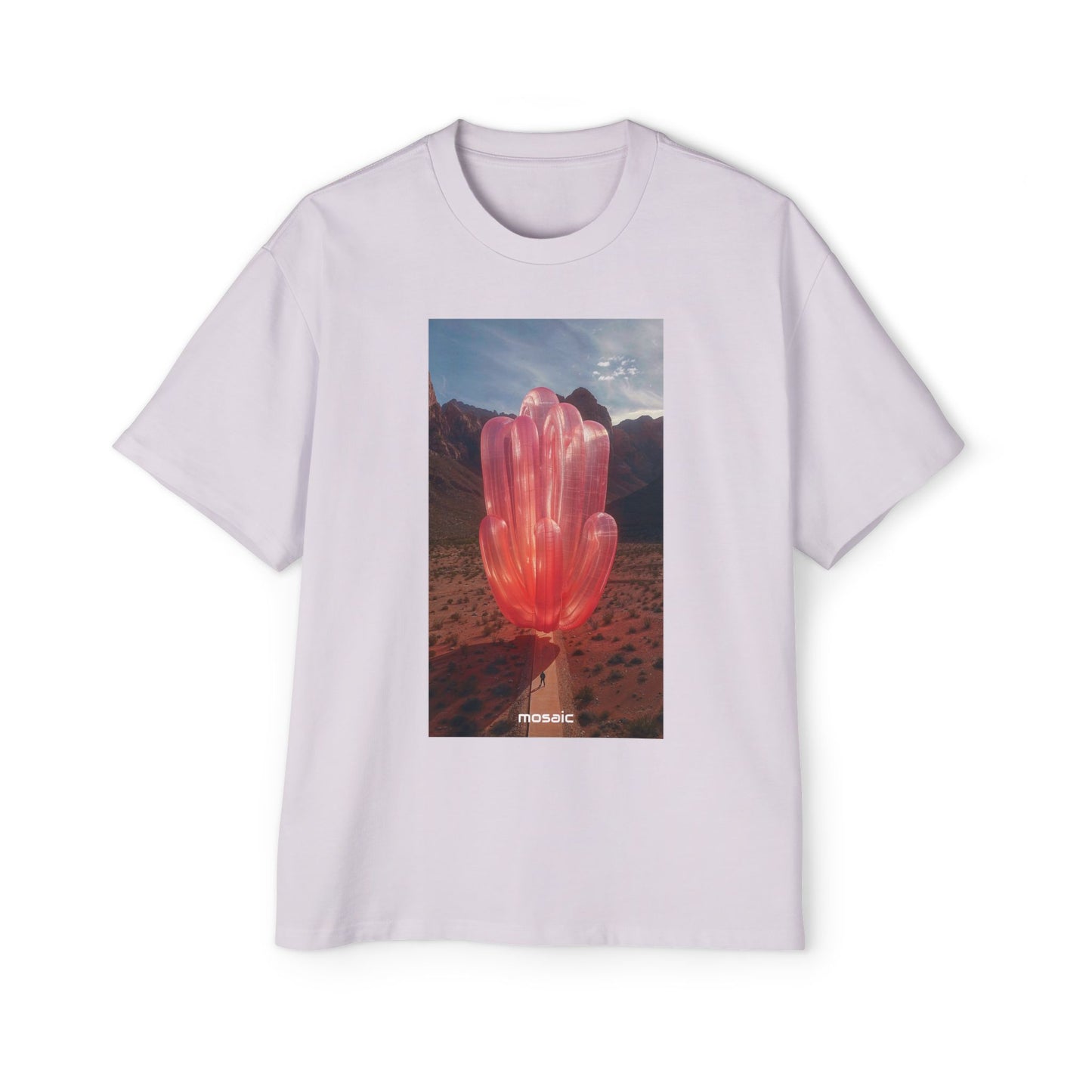 Blowups Heavy Oversized Tee