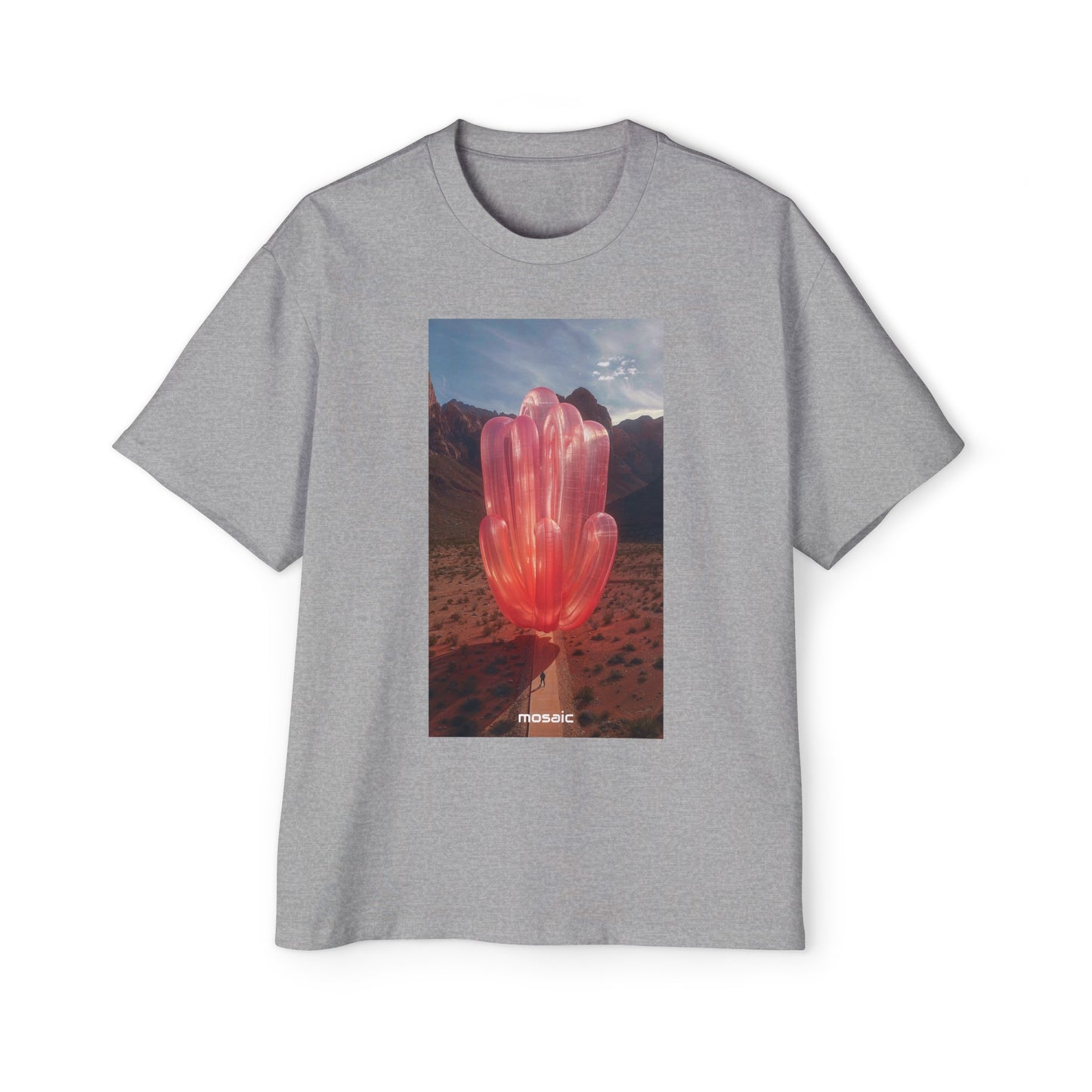 Blowups Heavy Oversized Tee