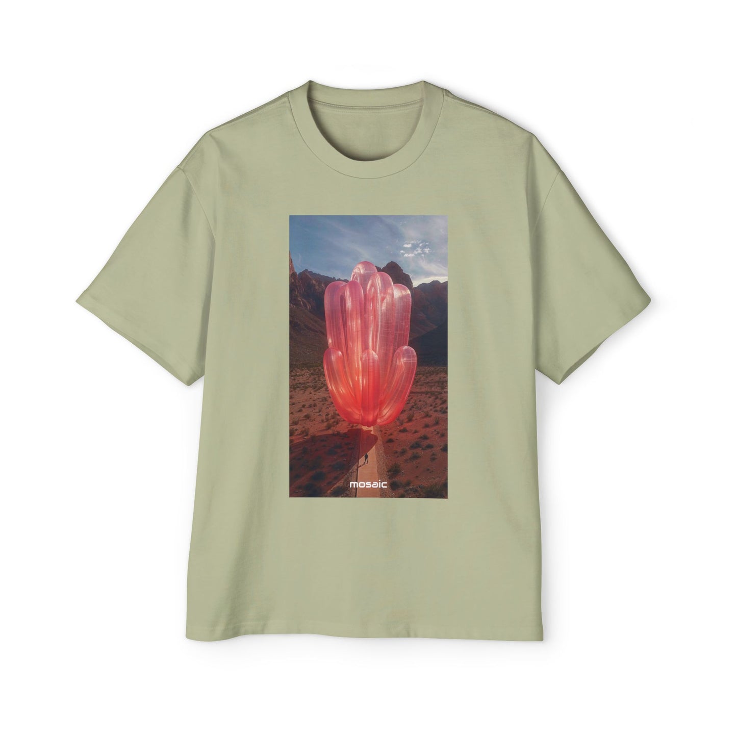 Blowups Heavy Oversized Tee