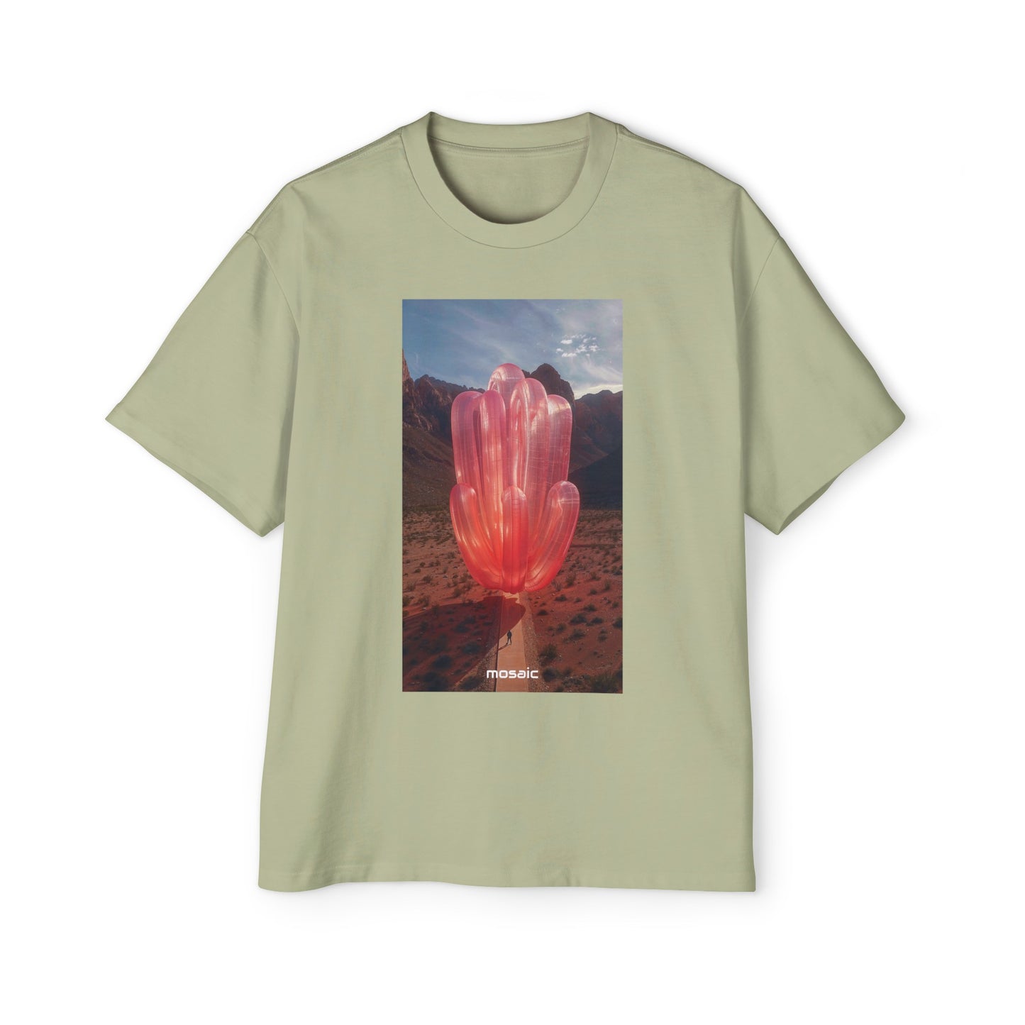 Blowups Heavy Oversized Tee