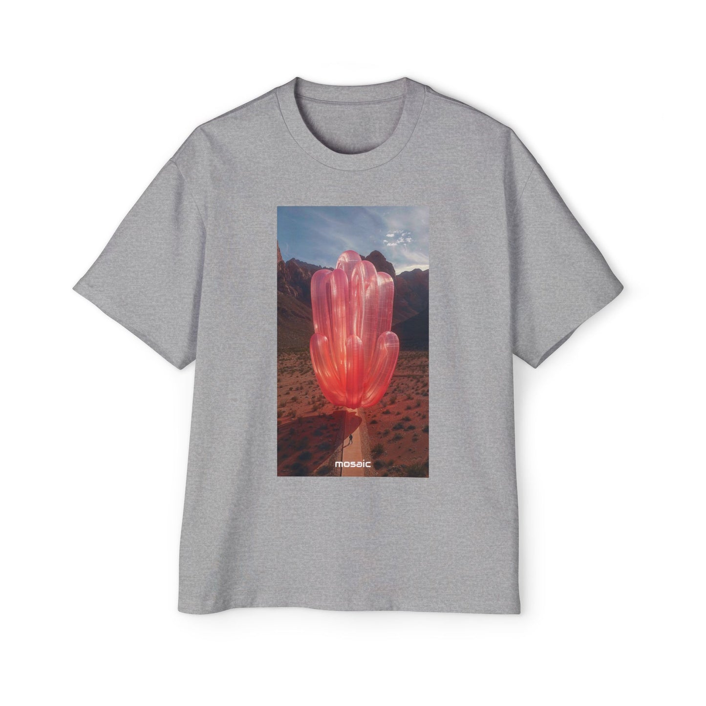 Blowups Heavy Oversized Tee