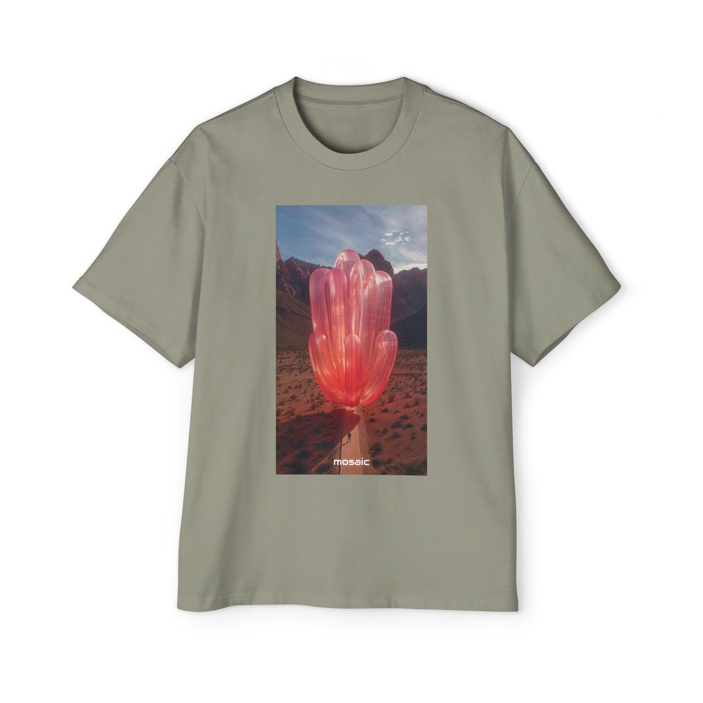 Blowups Heavy Oversized Tee