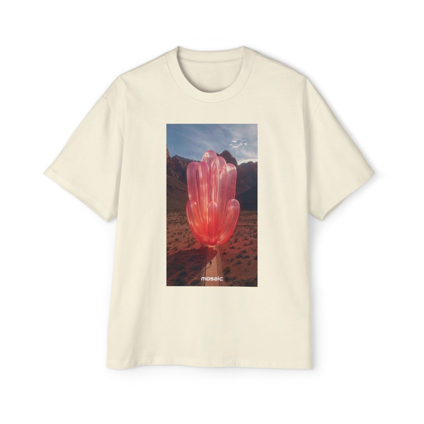 Blowups Heavy Oversized Tee