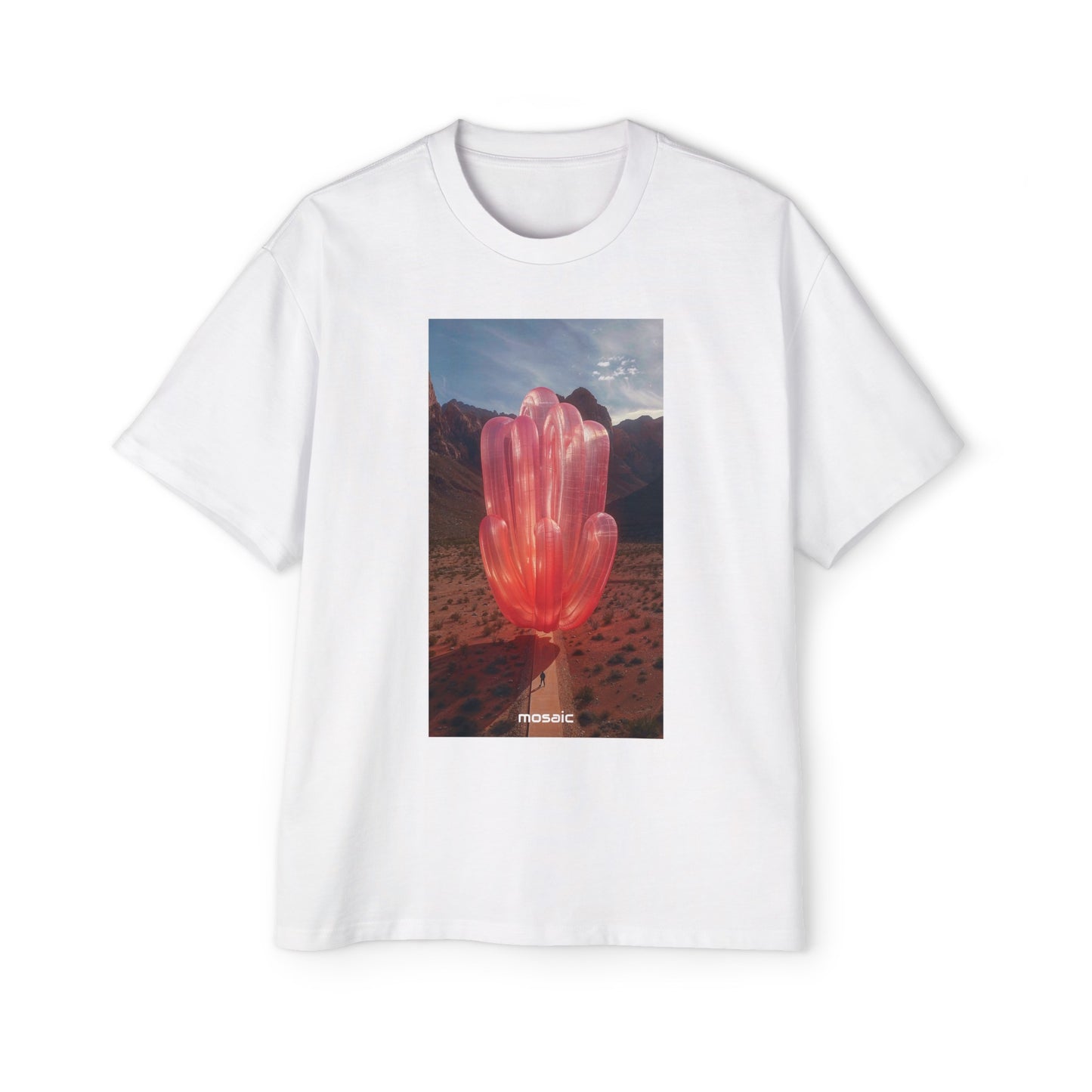 Blowups Heavy Oversized Tee